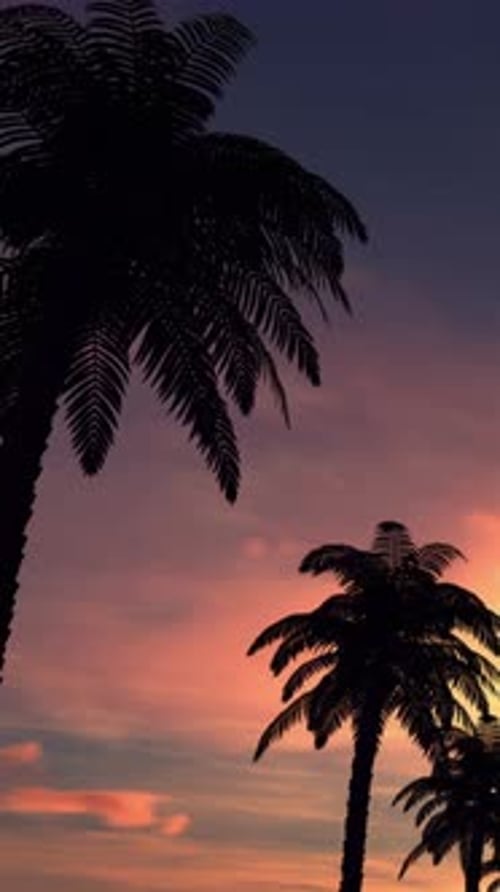 Animated Palm Trees Silhouette Against Sunset Sky Loop