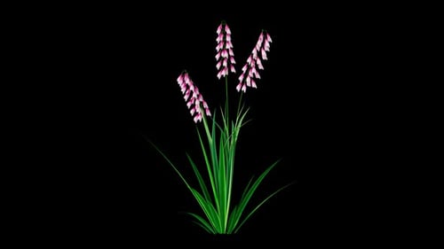 Canal Alpha pour la culture en plein champ de fleurs