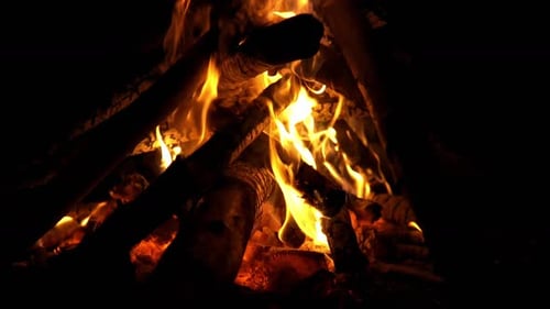 Wood Fire (2K)