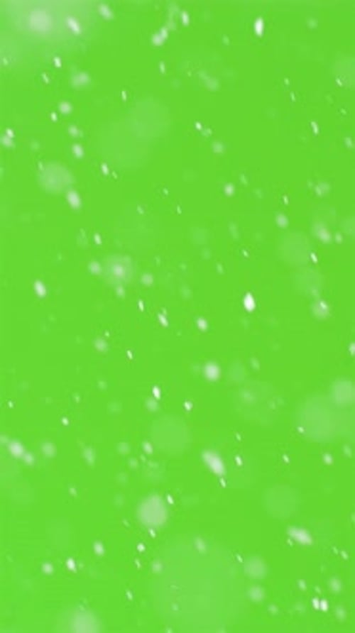 Vertical Video Of Snow Snowing On Green Screen Background