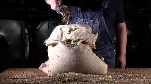 Old Brewer Spreads Malt From a Bag in a Private Brewery in Super Slow Motion at 1000 Fps During the