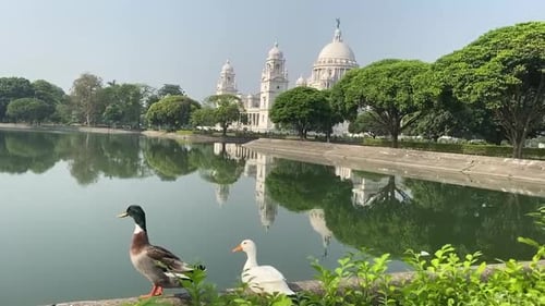 Victoria Memorial Kolkata at sunrise with two ducks standing in front of the lake.