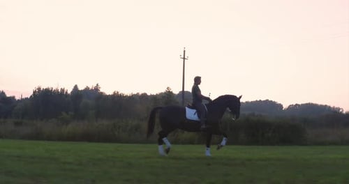Slow motion of young carefree male is riding a purebred brown horse in nature on a sunset.