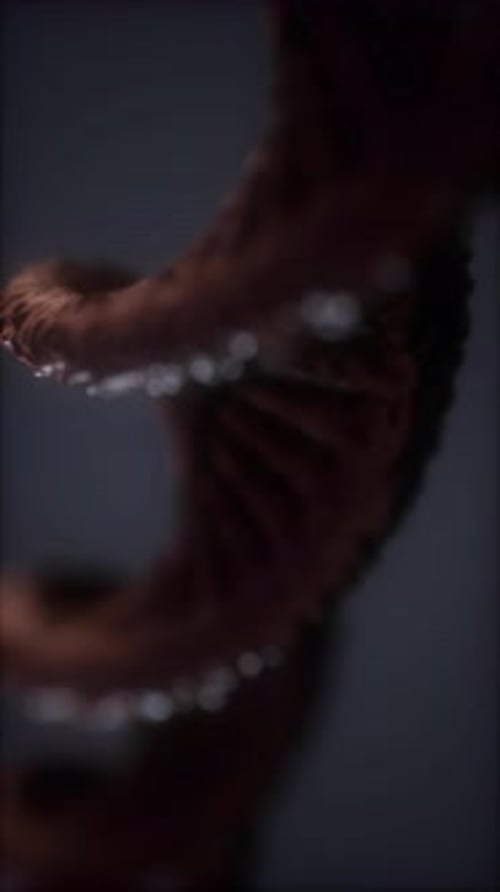 Loopable Structure of the DNA Double Helix Animation