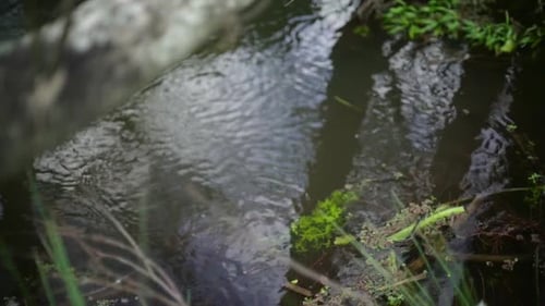 plan statique d'une corde dans la nature