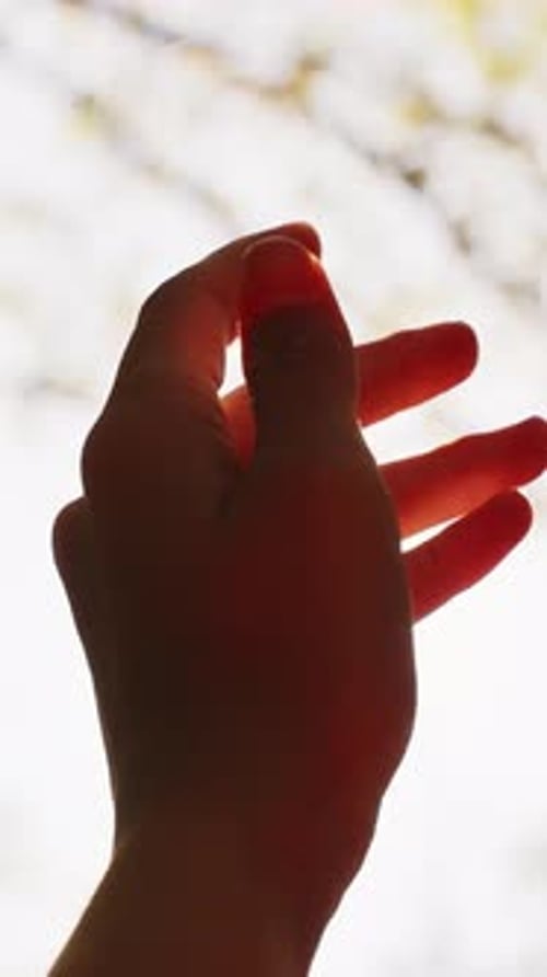 Hand Reaching into Sunlight Against Blurry Sky