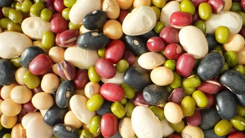 Assortment of Colorful Dry Beans Close Up