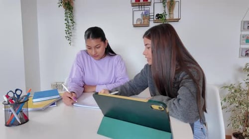 Two Young Women Studying Together Indoors