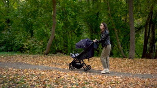 A Young Mother Walks Through the Forest with a Sleeping Child in a Stroller A Woman with Glasses