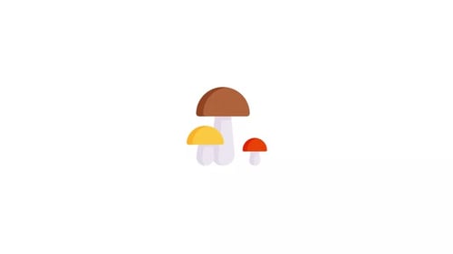 Animated Flat Design Mushroom Icons Appearing