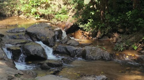 Serene Forest Creek with Natural Rocks and Lush Green Foliage
