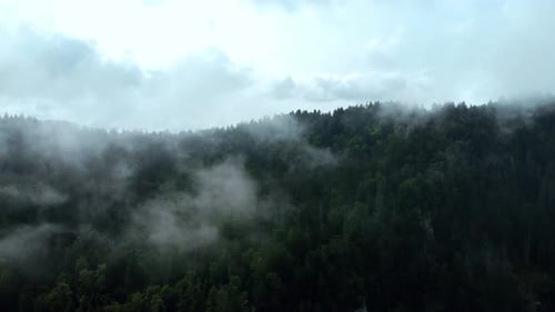Aerial image of a mountain forest in fog