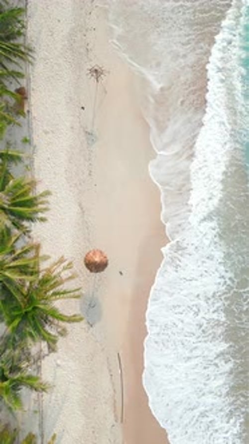 Top View of Tropical Beach