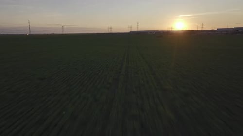 Luftüberflug über grüne Felder in der Natur während des goldenen Sonnenuntergangs