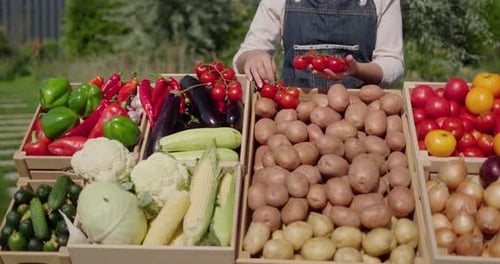 A Woman Lays Out Vegetables on the Counter Trading at the Farmer's Market In the Foreground is a Box