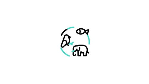 Animated Flat Design Animal Icons Cycle