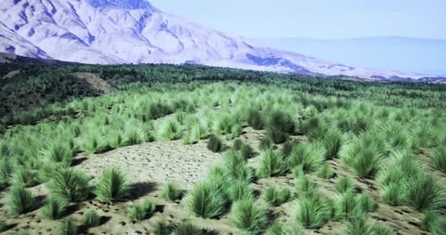 Lush Green Landscape with Mountains in the Background at Sunrise