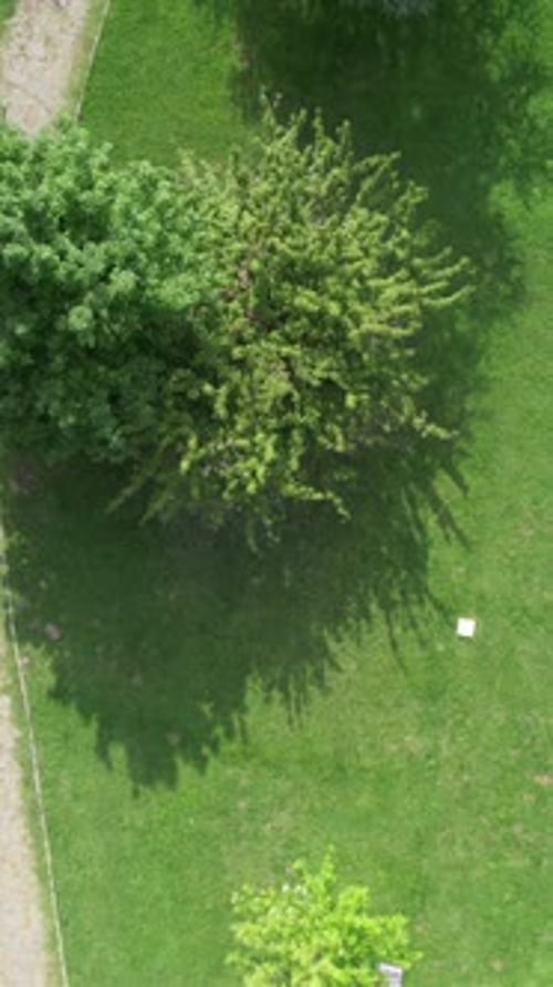 Aerial Botanical Park