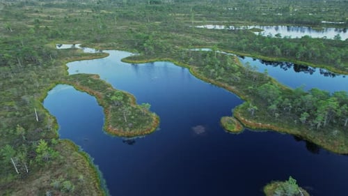 A large body of water surrounded by lush green trees