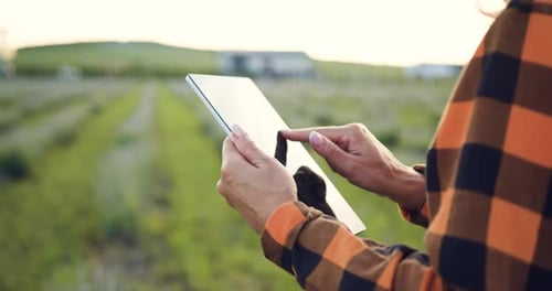 Nahaufnahme einer Bäuerin mit den Händen auf einem Weizenfeld, die ein digitales Tablet hält und auf dem Bildschirm tippt. Agronomie
