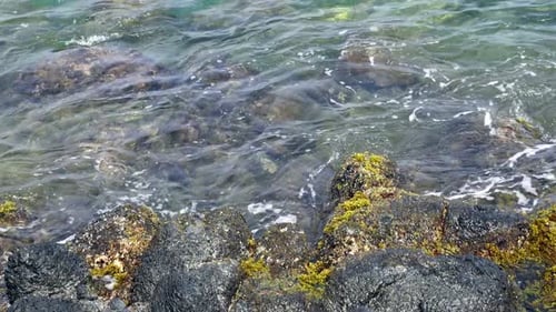 The ocean waves breaking on the rocks along the seashore.