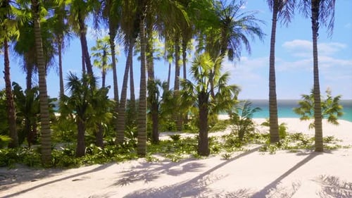 Sunny Tropical Beach with Swaying Palm Trees and Ocean
