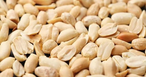 Pile of Shelled Peanuts Close Up Food