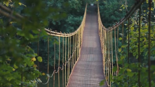 Narrow suspension footbridge over a calm river in a lush green forest. Perspective view of a rustic