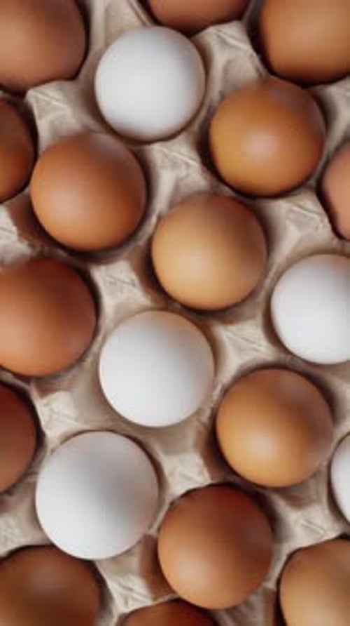 Brown and White Eggs in Carton Box Rotating Chicken Eggs in Container