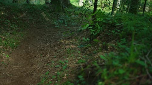 A mountain biker drifts down a steep trail