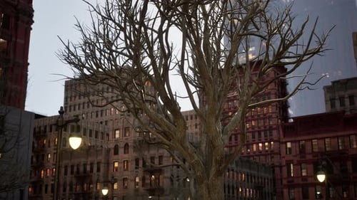 Edificio de Street of New York