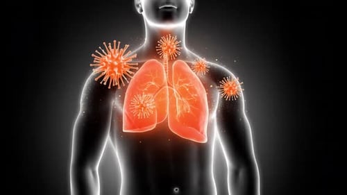 Medical Lung Infection Animation With Virus Particles And Breathing Human Body Loop