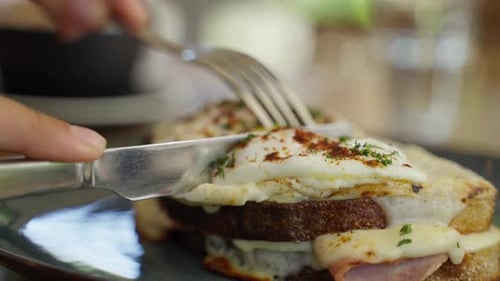 Croquemadame Toast with Egg and Cheese