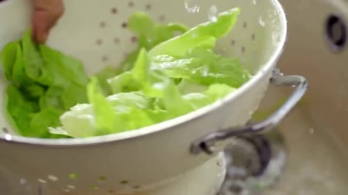Washing Vegetables