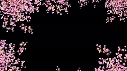 Spring Flowers Frame | 4K Alpha