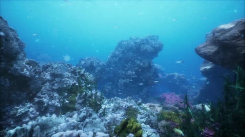 Underwater Coral Reef Landscape in the Deep Blue Ocean with Colorful Fish