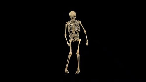 Animated Dancing Skeleton Character For Halloween Content