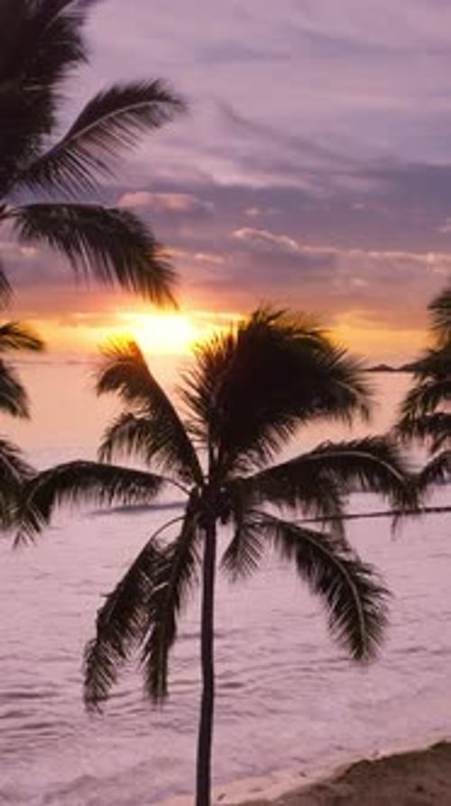 Disfruta de una serena puesta de sol tropical junto al océano