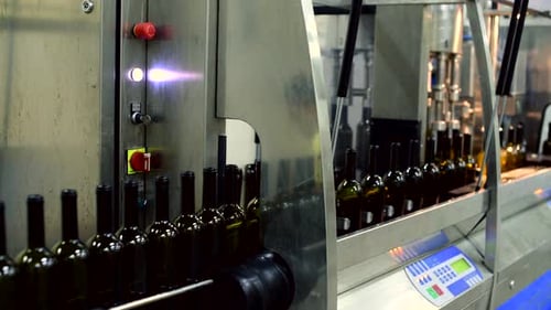 Wine Bottle Conveyor in a Busy Winery Showcasing the Efficient Production Process of Various Wines