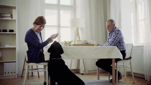 Senior Couple Feeding Dog at Breakfast