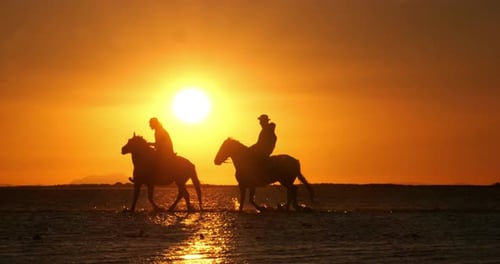 Frau und Mann reiten Camargue-Pferd, Trab bei Sonnenaufgang
