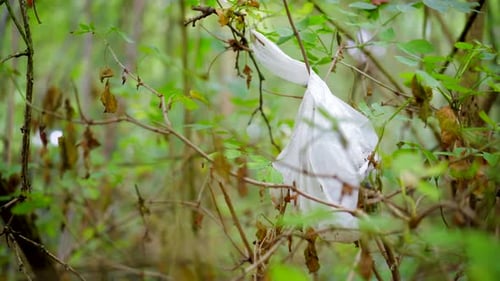 Bolsa de plástico atrapada en un árbol en un bosque verde, tirando basura en la naturaleza