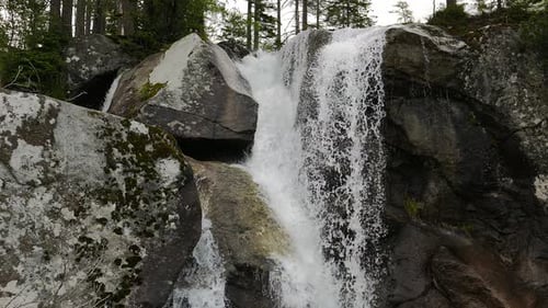 Scenic view of waterfall in forest