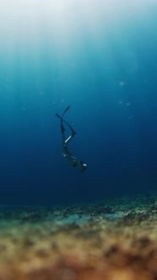 Female Freediver Swims in the Tropical Sea Woman Free Diver Glides Underwater in a Sea and Descends