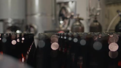 Brown Glass Bottles Moving on Conveyor Belt in Factory