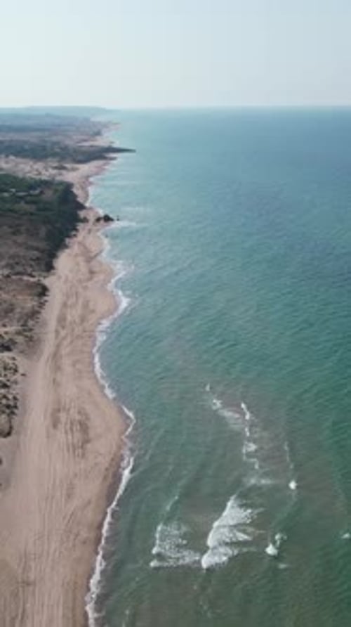 Meer, Strand im Wald