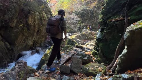 Male hiker walking through beautiful autumn gorge with river