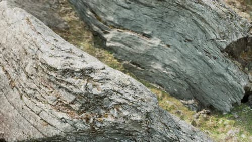Close Up of Rocky Stones Formation