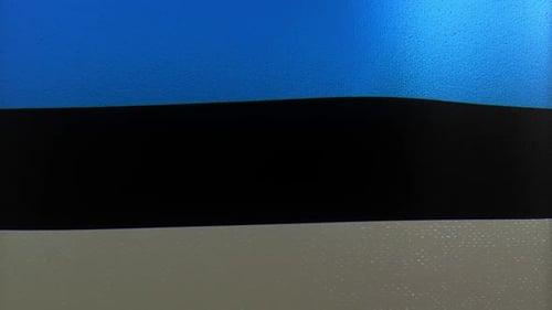 Dynamic Estonia National Flag Waving Motion Background