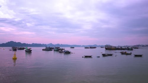 Purple-lit Ha Long Bay cradles fishing boats, silhouetted karst peaks in backdrop at purple sunset